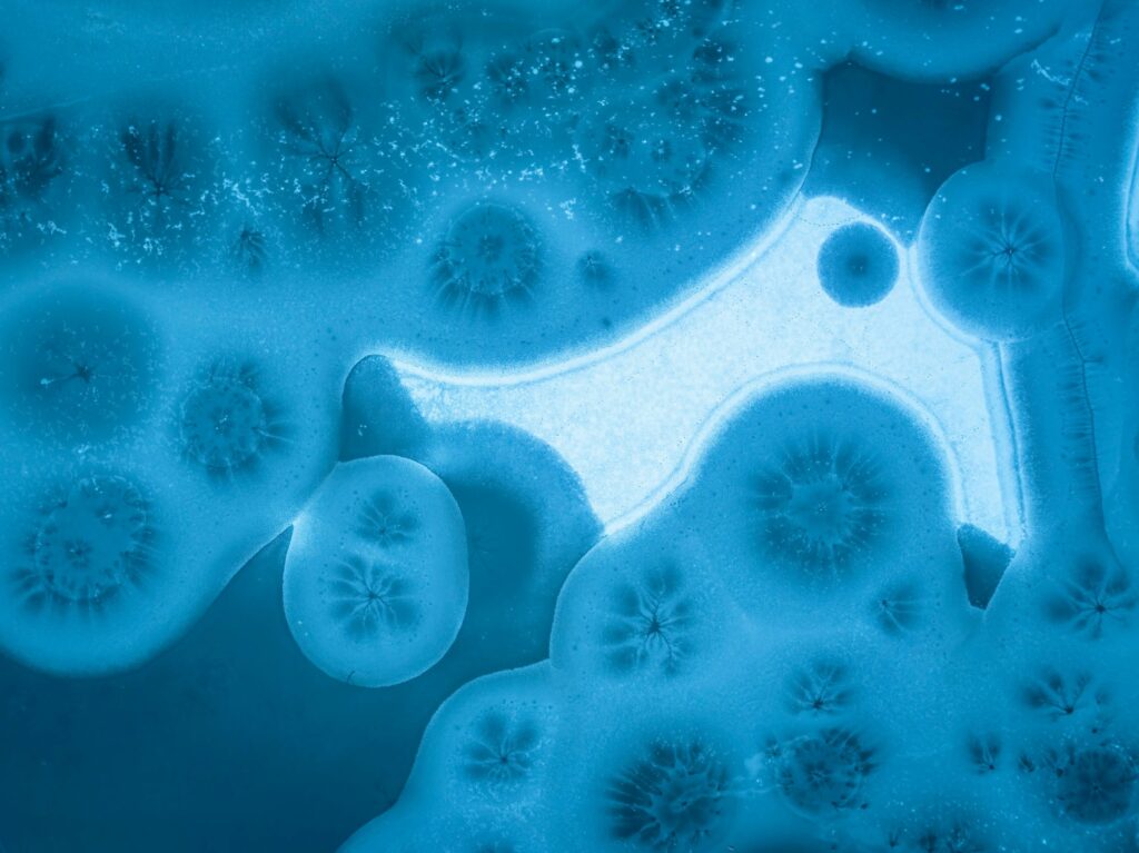 Biotecnología para lograr bioplásticos sostenibles con rendimiento competitivo 5 Biotecnología para lograr bioplásticos sostenibles con rendimiento competitivo 5 - Clave Web