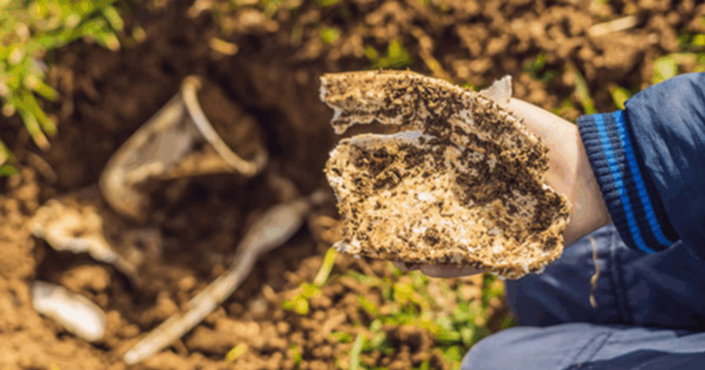 La biodegradación de los bioplásticos a base de PHA, PLA y almidón varía con la formulación 8 La biodegradación de los bioplásticos a base de PHA, PLA y almidón varía con la formulación 8 - Clave Web